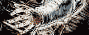 Fistofthenorthstar.it