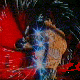 m61.gif (5912 byte)